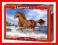 Puzzle 500 Koń na plaży CASTOR -30% Kurier48-7zł