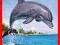 Puzzle 500 Delfin CASTOR -30% Kurier48-7zł