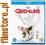 GREMLINS - GREMLINY ROZRABIAJĄ JOE DANTE Blu-ray