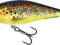Wobler Salmo EXECUTOR TROUT 7cm/8g floating SR