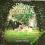 Preisner -  Secret Garden  Tajemniczy Ogród (1993)