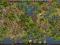Konto 50 lvl Settlers Online 174 dni PREMIUM !!!!!