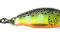 WOBLER RAPALA COUNTDOWN CD01 HS WOBLER BYDGOSZCZ