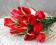 Czerwone TULIPANY Bukiet 12 kwiatów Retro Vintage