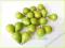 OWOCE DO DEKORACJI-MALUTKIE GRUSZKI/10 szt/zielone