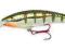 Wobler Rapala Deep Tail Dancer TDD11 FYP