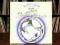 CAMEL The Snow Goose LP NM UK 1st Press