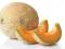 Pyszny Melon Seledyn (Cucumis melo) DO GRUNTU