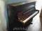 Petrof P118 Special pianino - WENGE - nowe