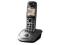 PANASONIC TELEFON BEZPRZEWODOWY KX-TG2511PDM