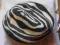 NEXT Berecik Zebra!