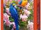 Puzzle 1500 Castorland 150861 Parrots and Orchids