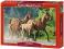 ! Puzzle 2000 Castorland C-200313 Purebred Araby