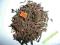 Herbata czerwona Pu Erh Żurawinowa 50g PYSZNOTKA