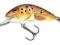 SALMO HORNET TROUT 3.5cm/2.2g 3FT