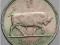 Irlandia, 1 shilling, 1964 rok