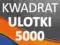 Ulotki kwadrat 5000 szt. -DARMOWA DOSTAWA ulotka