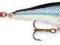 WOBLER RAPALA SKITTER POP SP05 SD UNIKAT BYDGOSZCZ