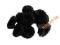 Gumki plecionki Black (M) zestaw 10 sztuk