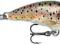 WOBLER RAPALA MINI FAT RAP MFR3 TR BYDGOSZCZ