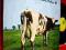 PINK FLOYD - ATOM HEART MOTHER LP CANADA /b415