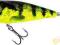 Salmo POPPER YELLOW PERCH 6cm/7g floating
