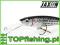 Wobler JAXON Holo Select DIVER 9 DR SL 9cm GRATIS