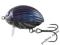 Wobler SALMO LIL'BUG Dunk Beetle 3cm