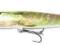 Salmo Pike 11cm 16g PE11DR RPE Szczupak