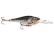 WOBLER RAPALA SHAD RAP RS SRRS-5 CW BYDGOSZCZ