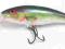 WOBLER RAPALA TAIL DANCER TD05 C 2,7m BYDGOSZCZ