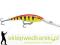 Wobler Rapala Deep Tail Dancer 7cm/9g, Kolor: HT