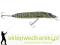 Wobler Jaxon HS Pike 16cm-F/30g, Kolor: PT