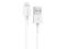 Kanex Kabel USB Lightning 2m - iPad iPhone 5C/5/5S