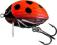 Wobler Salmo Lil`Bug BG2F LB
