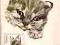 pocztówka i znaczek GRABIAŃSKI Kotek Kot syjamski