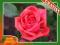 Róża rabatowa CZERWONA MALINOWA kod 400
