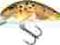 Salmo Hornet 3cm. Pływający H3F T