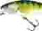 Salmo Perch 14 cm. Pływający PH14SDR PH