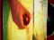 WISHBONE ASH - THERE'S THE RUB LP PERSEPHONE /b281