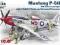 ICM 48153 Mustang P-51D with USAAF Pilots and Grou