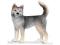 SCHLEICH 16372 PIES HUSKY SUKA UNIKAT 2007 GRATIS