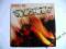 Y &amp; T - Open Fire (A&amp;M GER) EX+