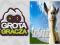 GrotaGracza - GOAT SIMULATOR - STEAM - AUTOMAT