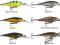 Savage 3D Pop Prey 71 7,0 cm / 12 g Rainbow Smolt