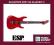 ESP LTD M-10 CAR POKROWIEC + PASEK + KABEL GRATIS!