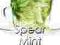 LIQUID SENSATION 30ml SPEAR MINT 11mg (olejki)