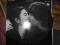 Jon Lennon -double fantasy     EX+