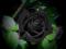 Róża, Nasiona Róży, Black Rose - Róża Czarna