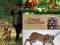 Kalendarz 2014 30x30 Zwierzęta Leśne wyprzedaż